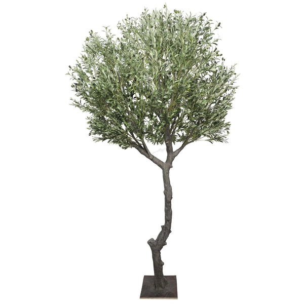 Large Faux Olive Tree 285cm – Vertical Gardens Direct