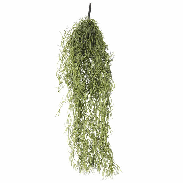 Artificial Air Plant Spanish Moss Old Mans Beard 60cm Hanging Foliage –  Vertical Gardens Direct