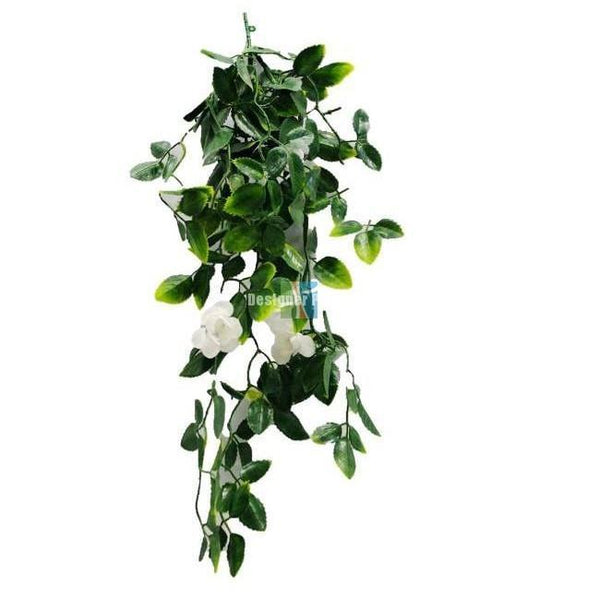 White Mixed Hanging Foliage – Vertical Gardens Direct