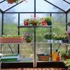 Image of Palram Glory Greenhouse 8 x 12 Inside View