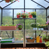 Image of Glory Greenhouse Inside View