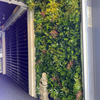 Image of vertical artificial green wall installed