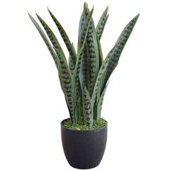 Artificial Snake Plant Sansevieria 60cm UV Stabilised