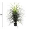 Image of Faux Yucca Grass Dimensions