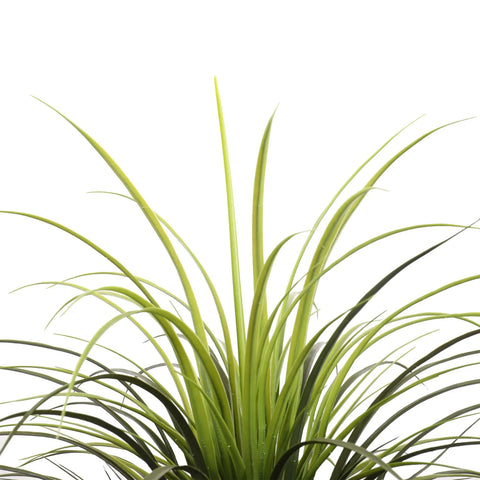 Faux Yucca Grass Leaves