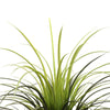 Image of Faux Yucca Grass Leaves