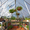 Image of Balance Greenhouse inside view - silver