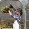 Image of maze green house in garden