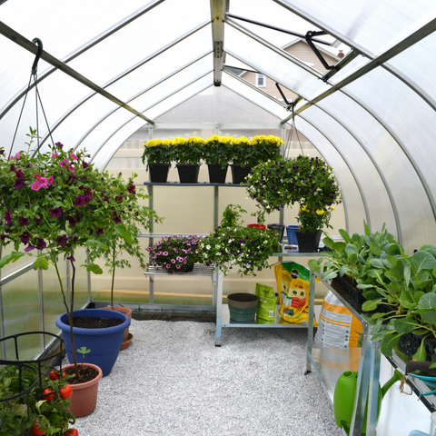 Bella Green House Inside View