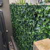 Image of artificial garden wall actual view outdoor