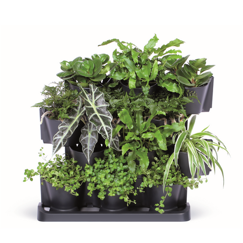 Herb Vertical Garden Full View With Plants