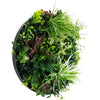 Image of Colour Fresh Artificial Green Wall Disc 60cm Full View