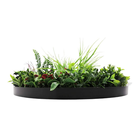 Colour Fresh Artificial Green Wall Disc 60cm Side View