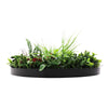 Image of Colour Fresh Artificial Green Wall Disc 60cm Side View