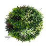 Image of Colour Fresh Artificial Green Wall Disc 100cm White Diameter