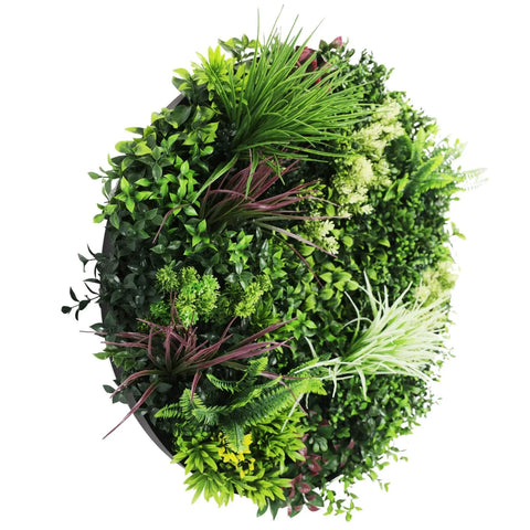 Colour Fresh Artificial Green Wall Disc 80cm Black Main View