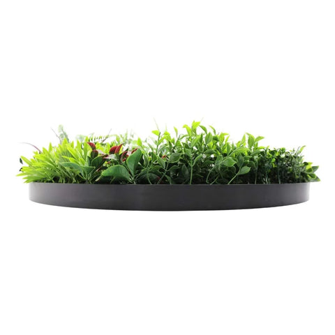 Colour Fresh Artificial Green Wall Disc 80cm Black Side View