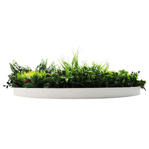 Colour Fresh Artificial Green Wall Disc 80cm White Side View