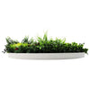 Image of Colour Fresh Artificial Green Wall Disc 80cm White Side View