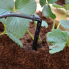 Image of Greenhouse Drip Irrigation System Actual View Image 1