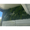 Image of faux greenery wall actual view