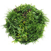 Image of Artificial Green Wall Disc White Country Fern Disc 80cm black main view