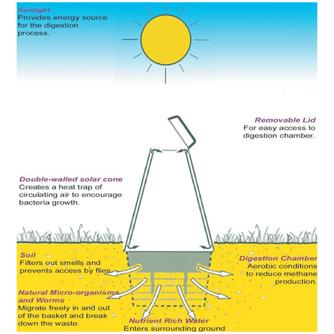 Maze Green Cone Outdoor Food Digestion System