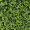 Image of Artificial Green Moss Wall Panel 1m x 1m