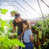 Image of Maze 10'x16' Balance Greenhouse Inside View