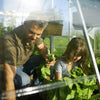 Image of Maze 10'x16' Balance Greenhouse Planting Inside View