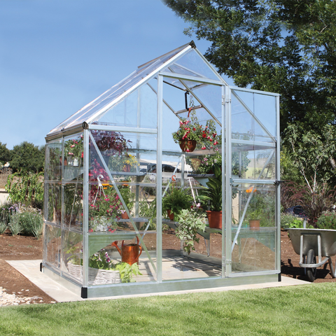 Palram Harmony Greenhouse in The Garden