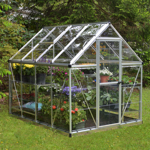 Palram Harmony Greenhouse 6x8 In The Garden