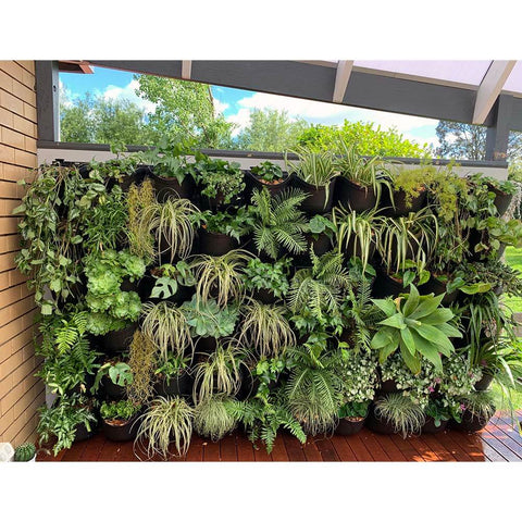 Maze Vertical Green Wall Extra Large Planter Kit With Plants Front View