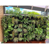 Image of Maze Vertical Green Wall Extra Large Planter Kit With Plants Front View