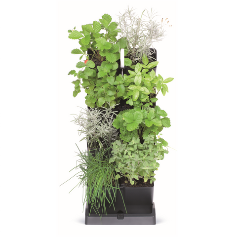 Herb Vertical Garden Main View With Plants