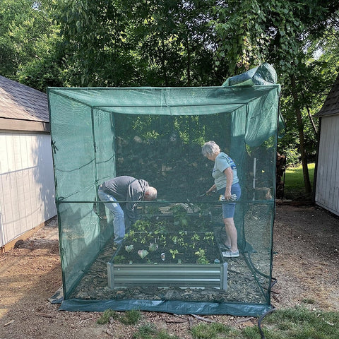 crop cage large in garden