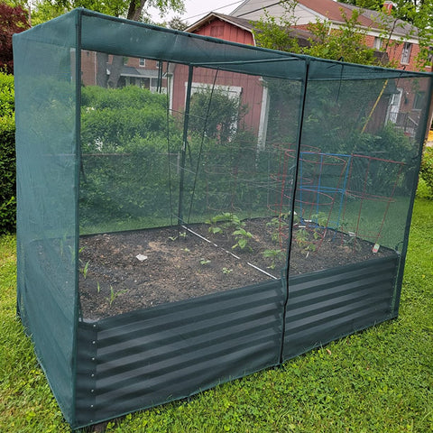 crop cage medium in garden