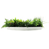 Image of Artificial Green Wall Disc White Country Fern Disc 80cm white side view