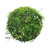 Image of Artificial Green Wall Disc White Country Fern Disc 100cm black dimeter