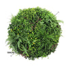 Image of Artificial Green Wall Disc White Country Fern Disc 100cm white diameter