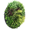 Image of Slimline Artificial Green Wall Disc 100cm black full view