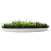 Image of Slimline Artificial Green Wall Disc 100cm white side view