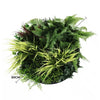 Image of Slimline Artificial Green Wall Disc 50cm diameter