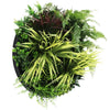 Image of Slimline Artificial Green Wall Disc 50cm full view