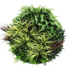 Image of Slimline Artificial Green Wall Disc 80cm black black full view