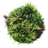 Image of Slimline Artificial Green Wall Disc 80cm white main view