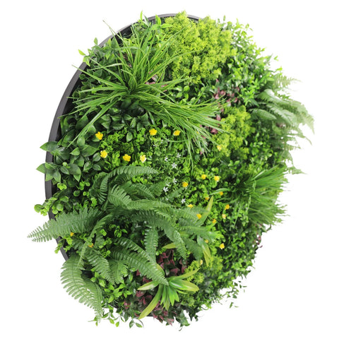 Artificial Green Wall Disc White Country Fern Disc 100cm black main view