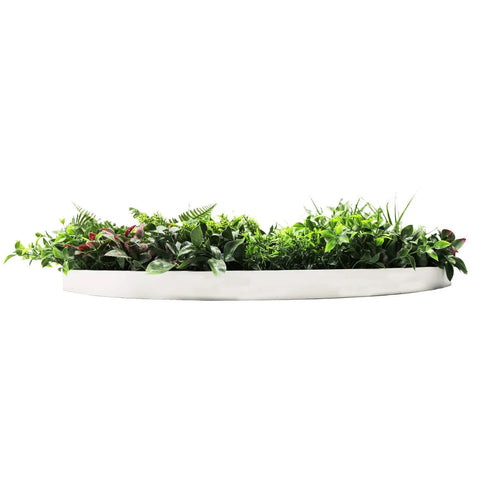 Artificial Green Wall Disc White Country Fern Disc 100cm white side view