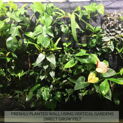 Vertical Garden Grow Felt 1.8m Roll