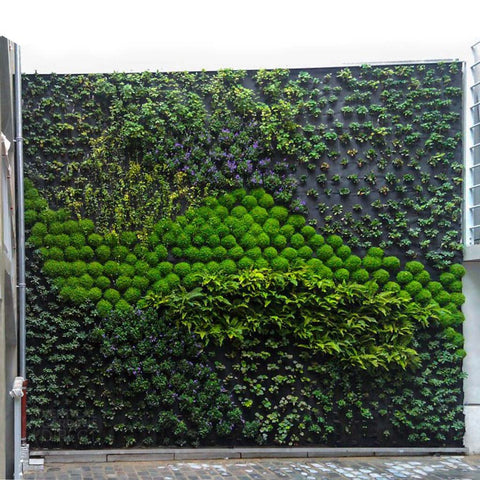 Vertical Garden Grow Felt 1.8m Roll